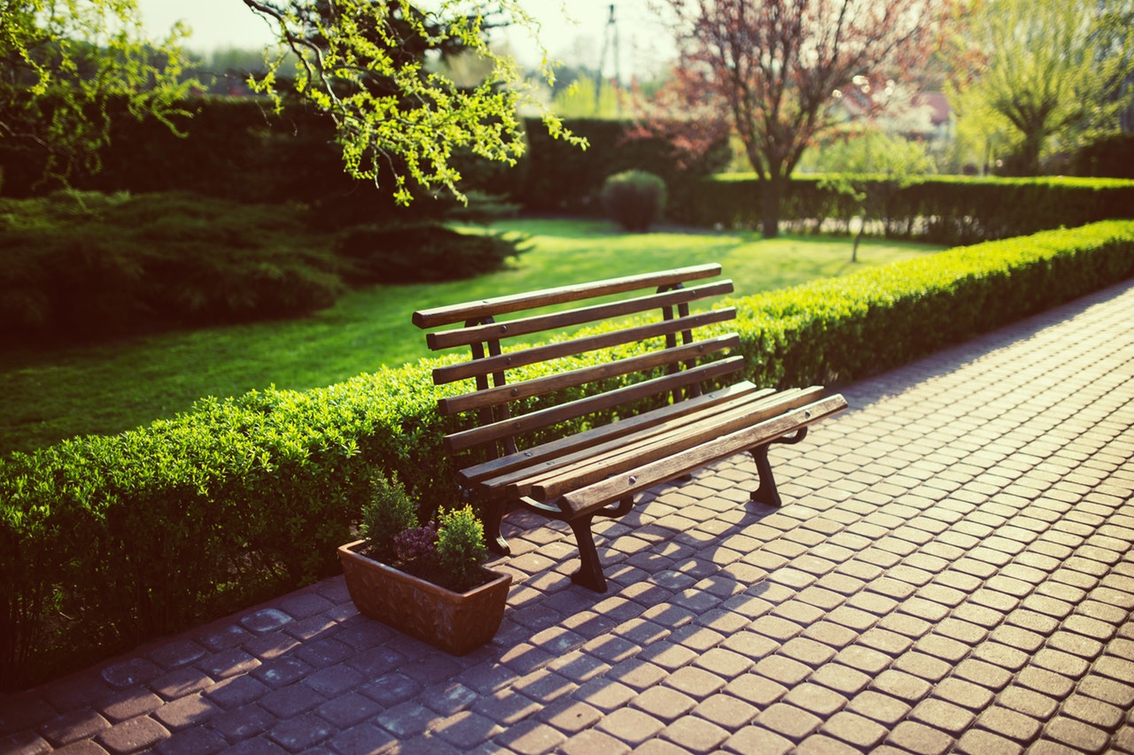 City Park Background