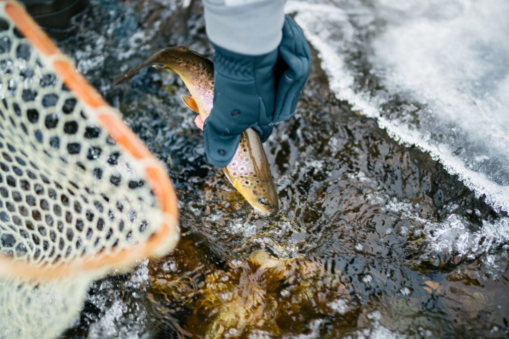 Fishing in Park City