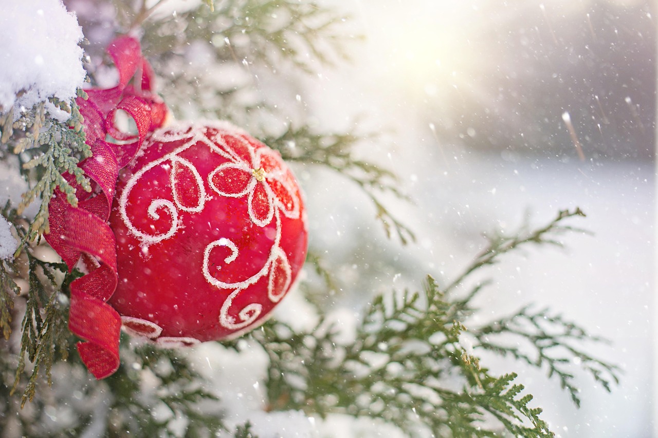 A red ornament hanging on a snowy tree