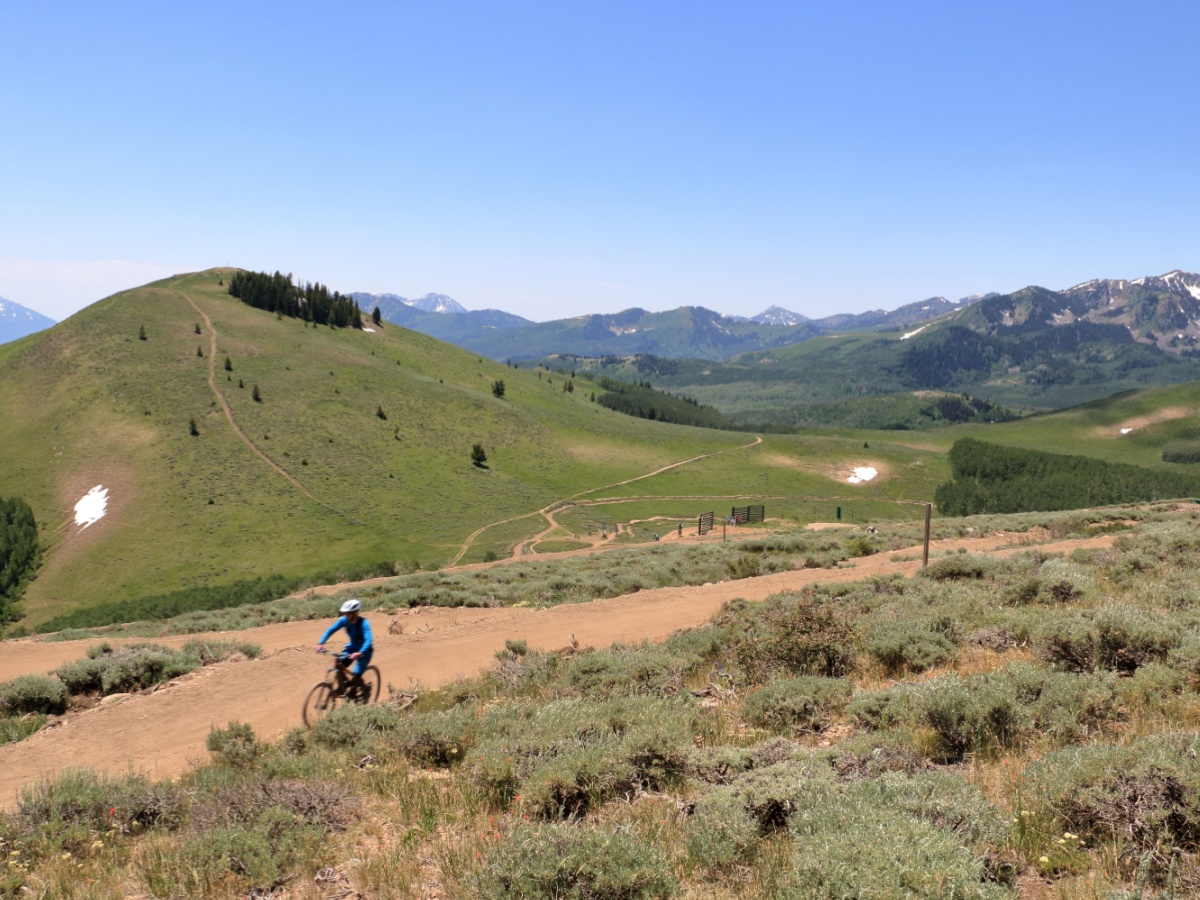 Mountain bikers biking through Deer Valley in Utah.