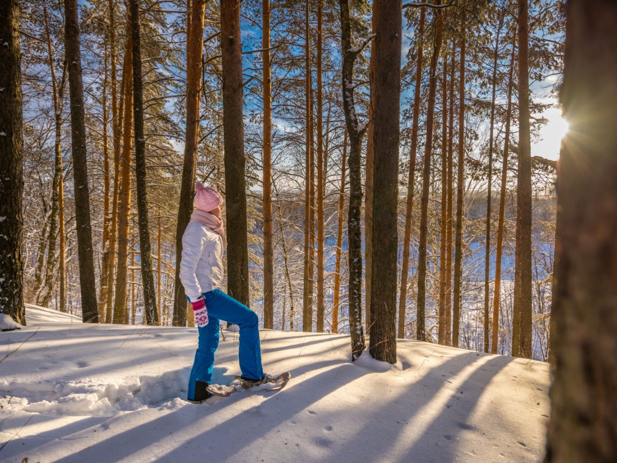 A woman show shoeing in the show through a forest with a bed of fresh white powder now.